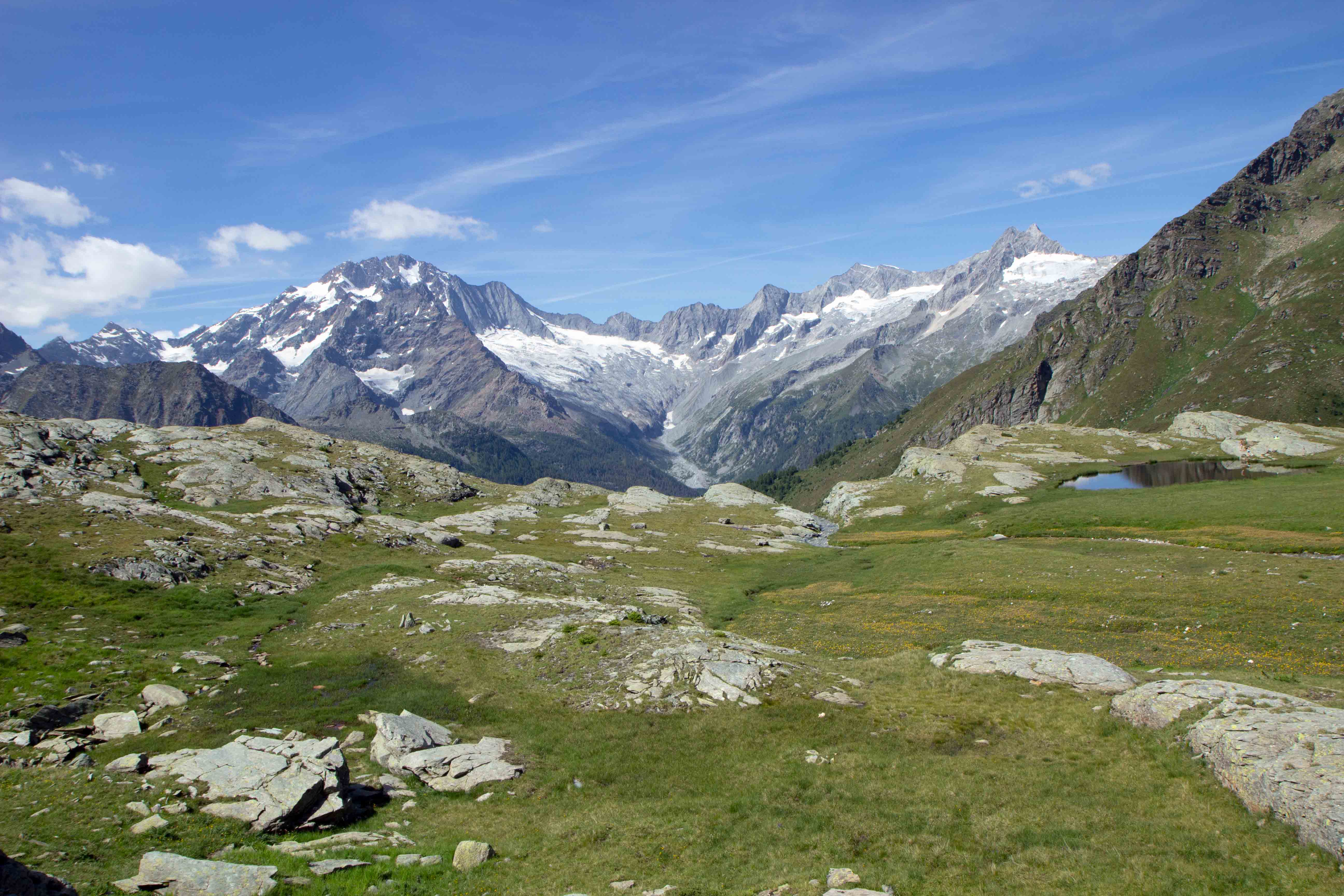 3 M. Disgrazia e testata della Val Sissone.jpg