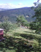 dal balcone.jpg