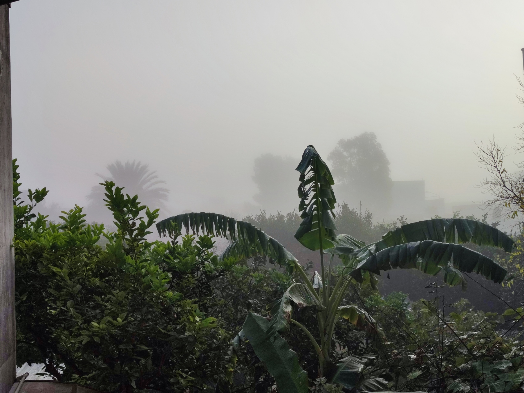 nebbia 29-10.jpg