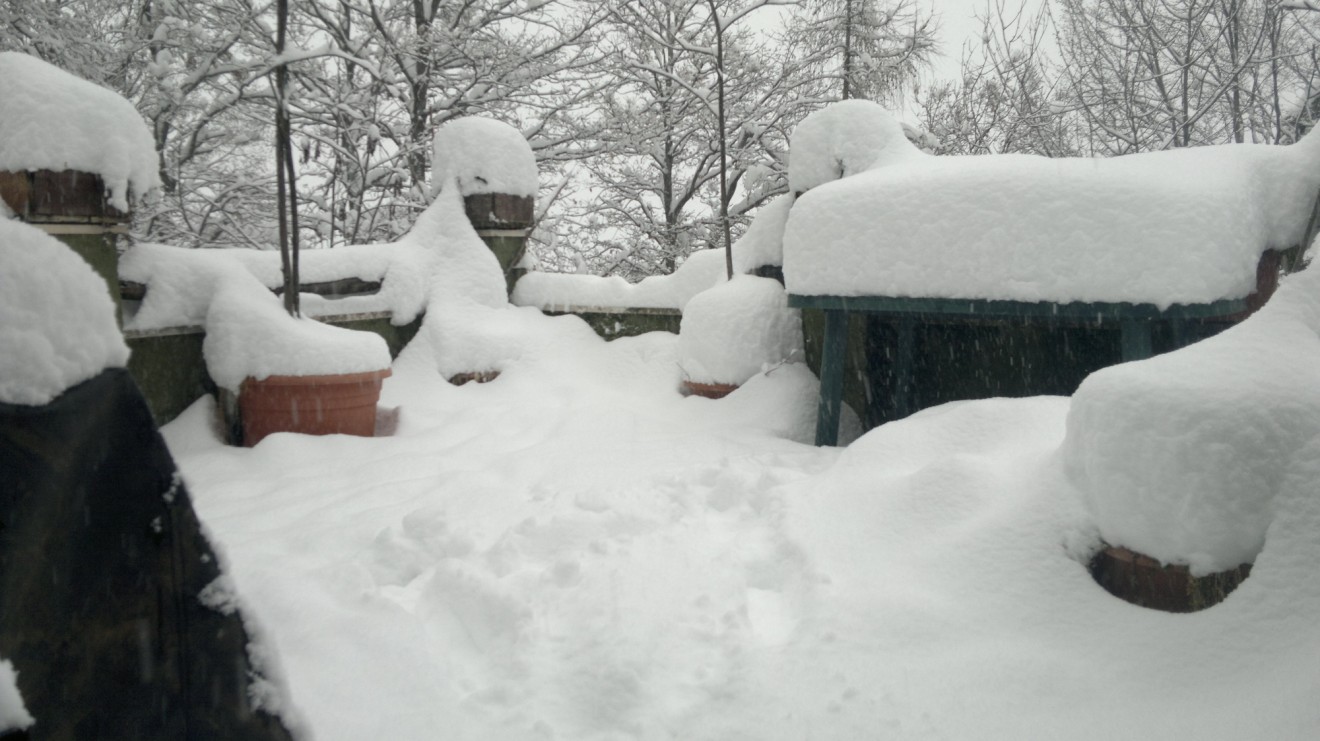 la mia terrazza....