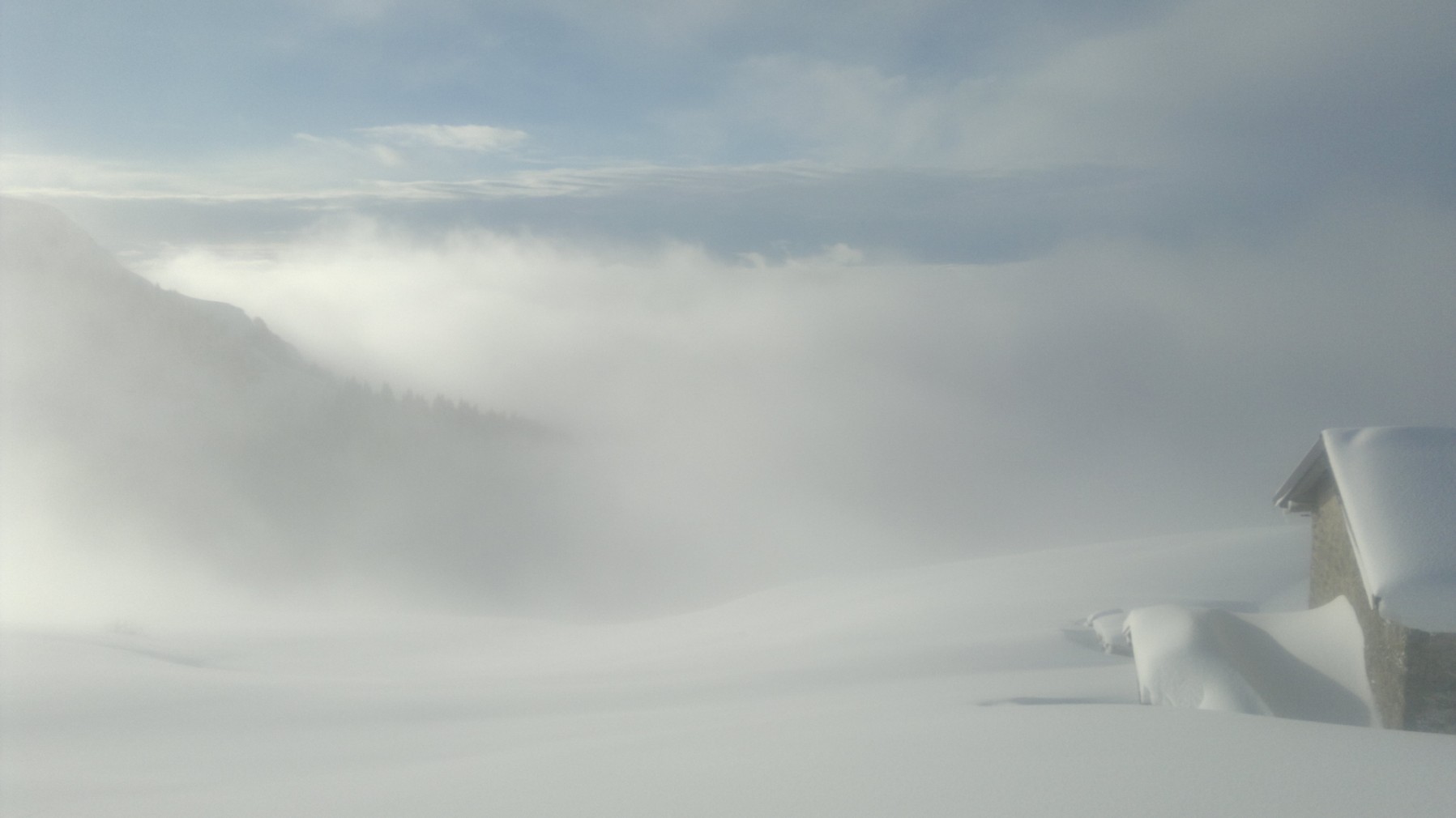 nebbia di montagna............