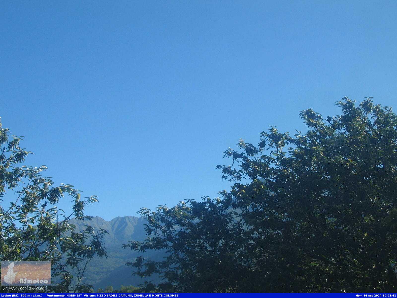 webcam.jpg