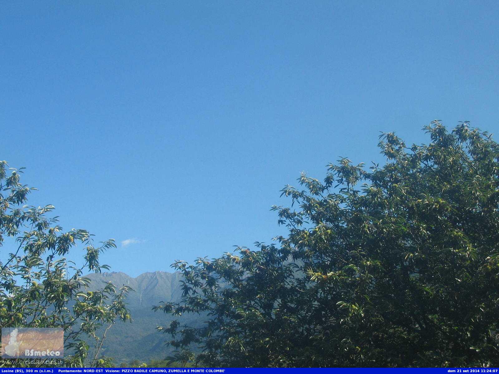 webcam.jpg