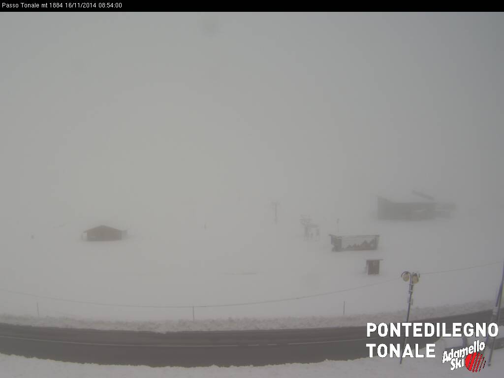 tonale.jpg