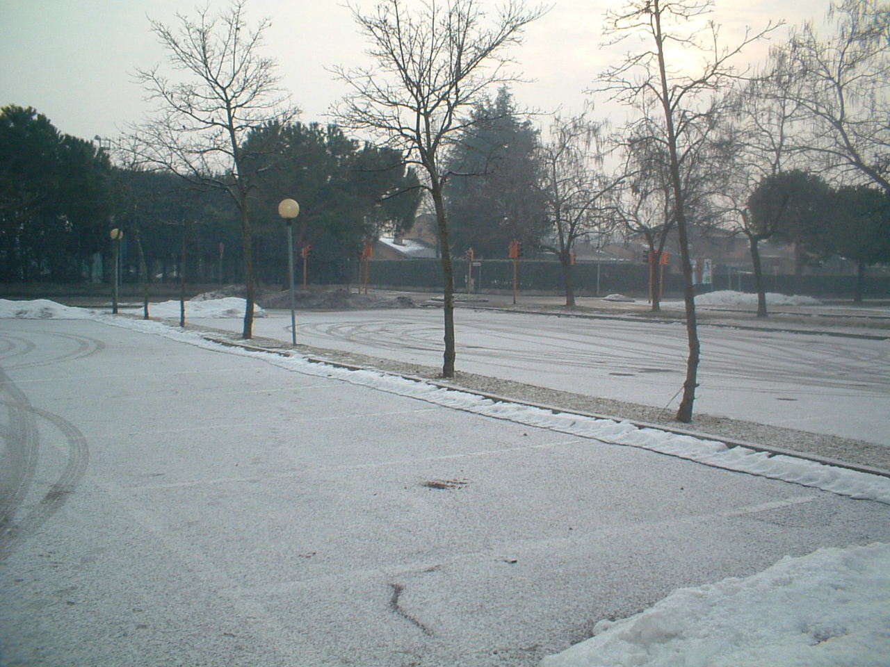 DSCF0011h.JPG