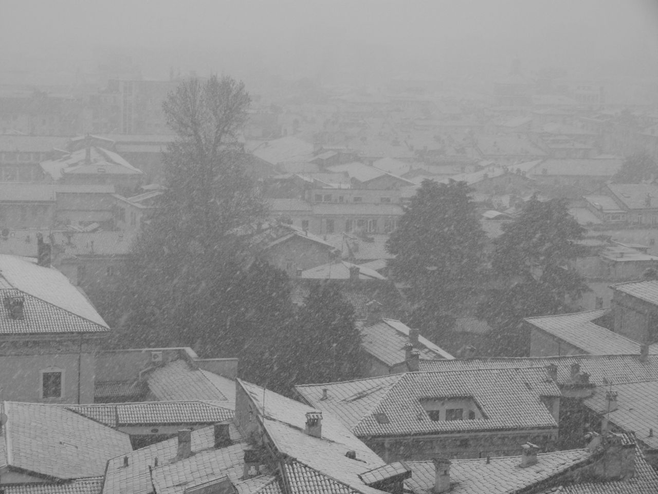 neve2.jpg