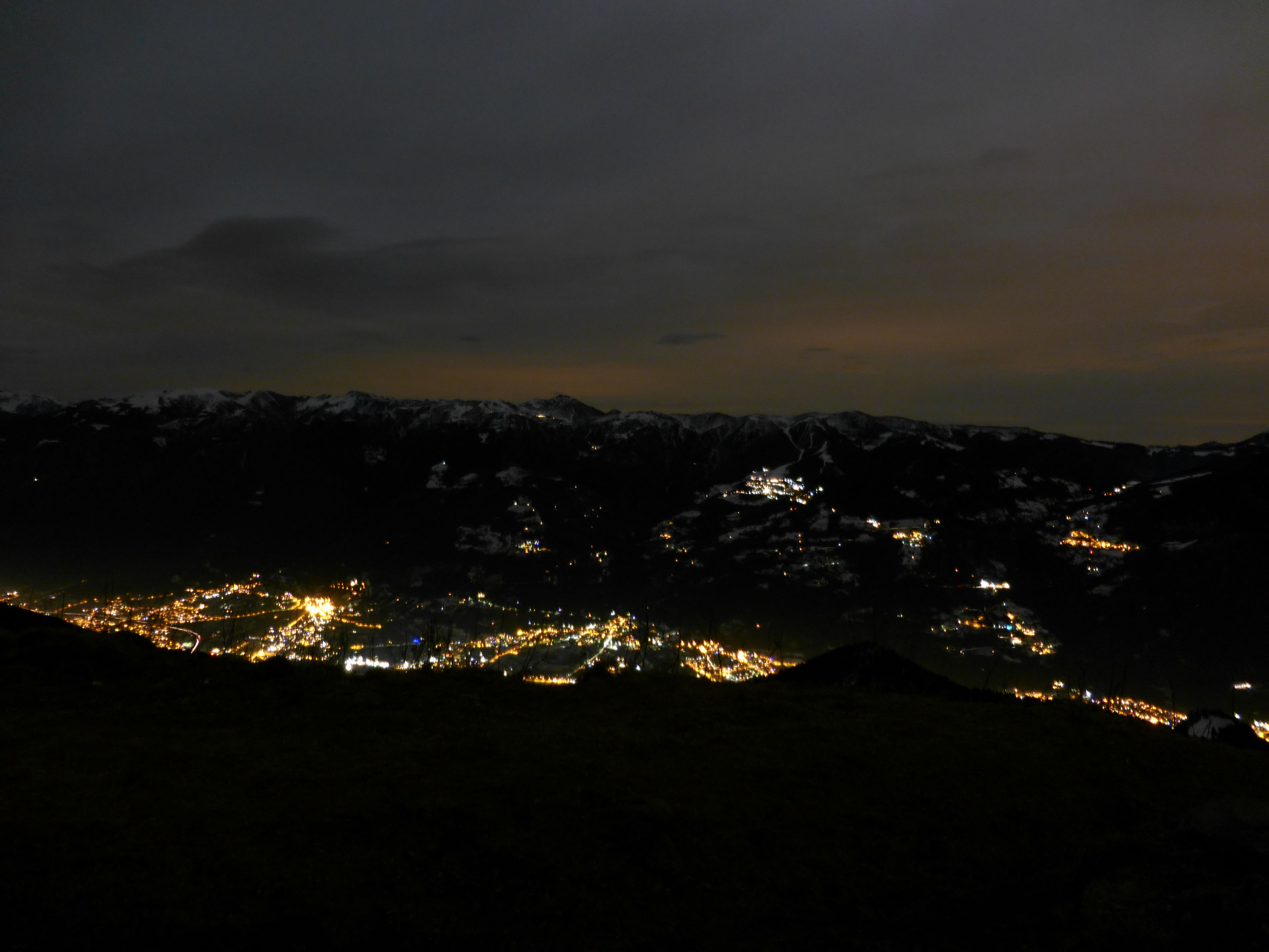 P1040711d.jpg