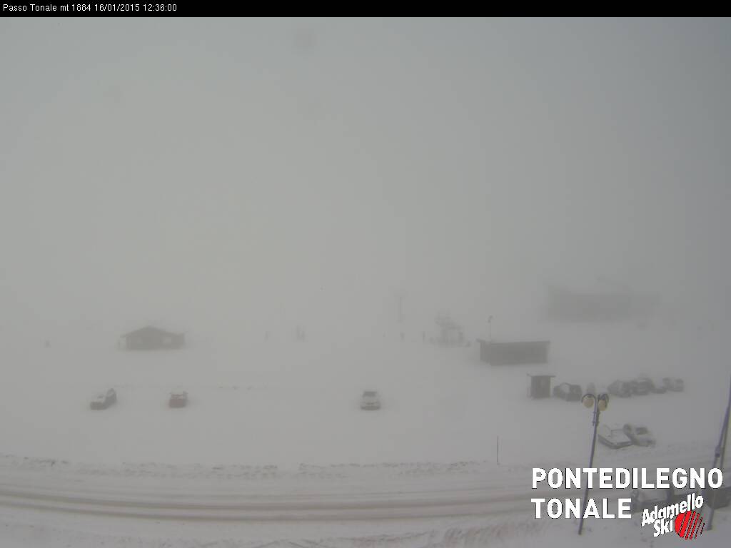 tonale.jpg