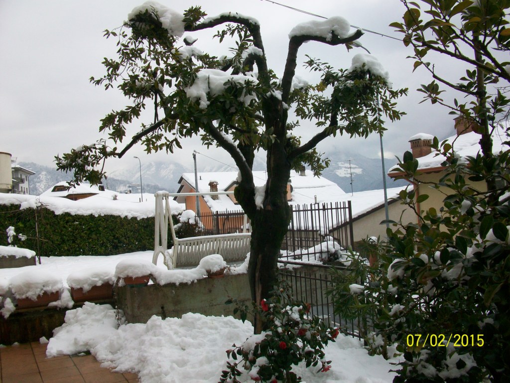 neve oggi