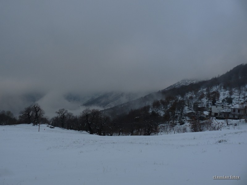 Image00014.JPG