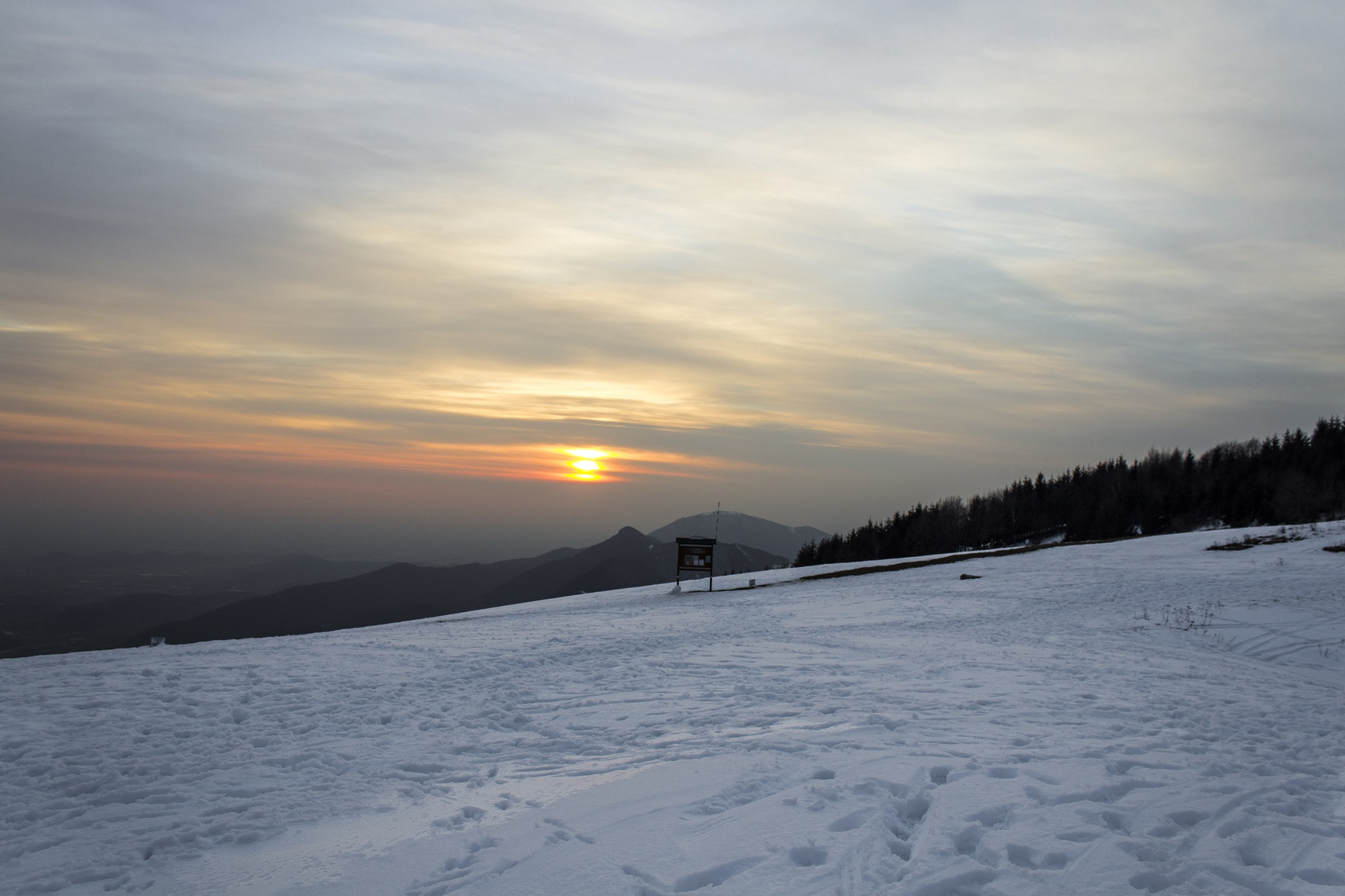 _MG_1310.jpg