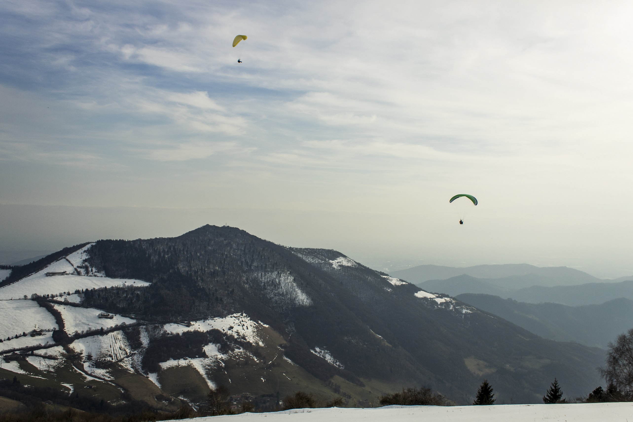 _MG_1296.jpg