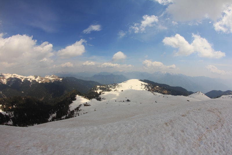 IMG_2840.jpg