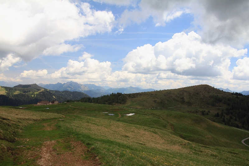 IMG_5529.jpg