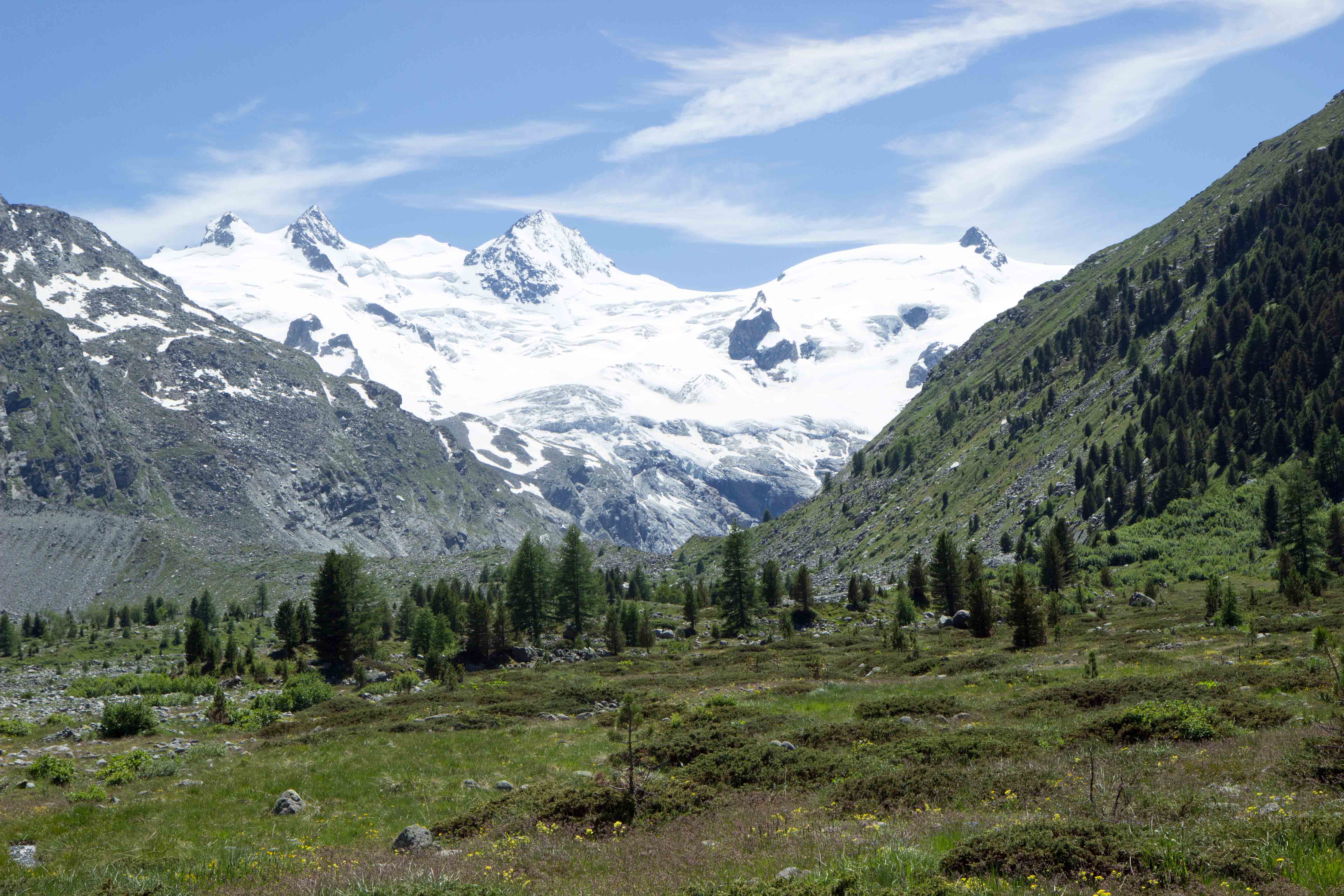 6 Gruppo del Bernina.jpg