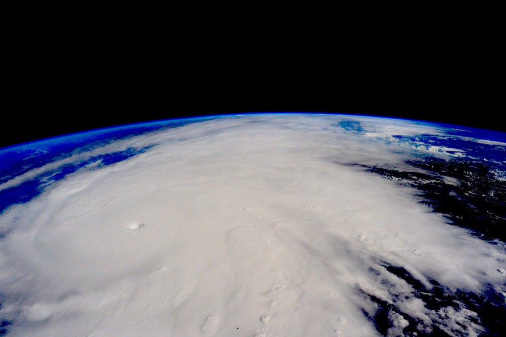 patricia 4.jpg