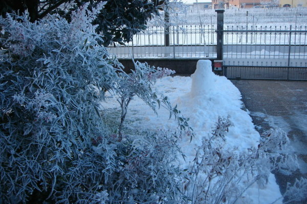 DSC03448.JPG