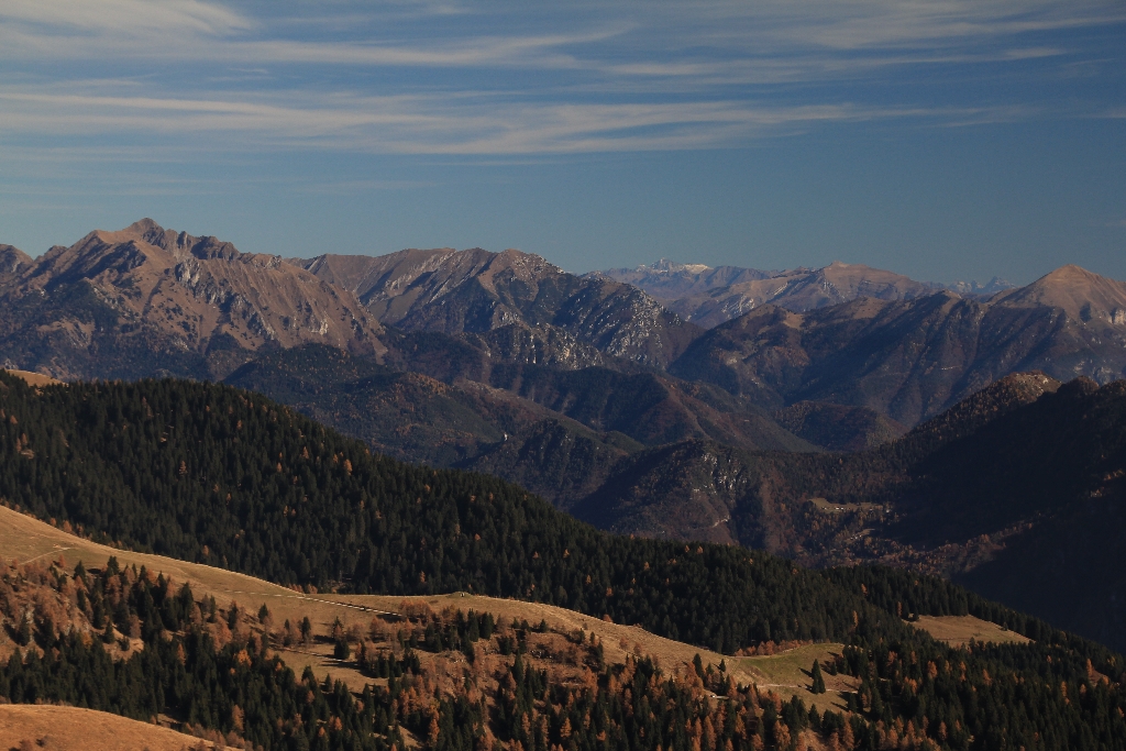 IMG_6659.jpg