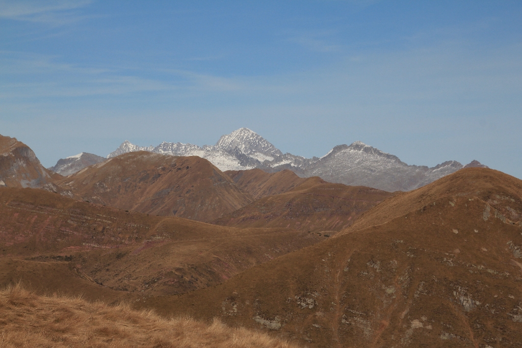 IMG_6672.jpg
