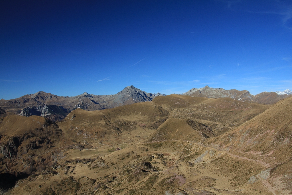 IMG_6687.jpg