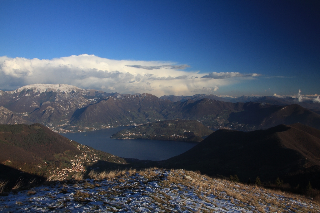 IMG_6780.jpg
