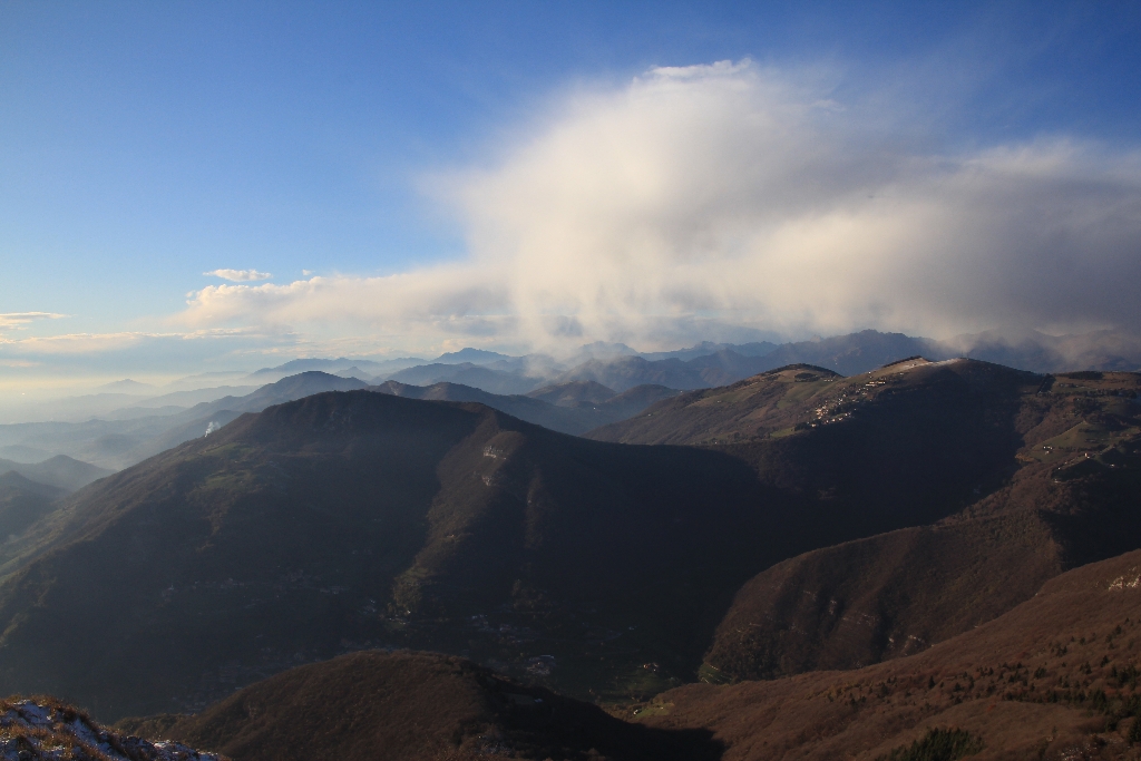 IMG_6768.jpg