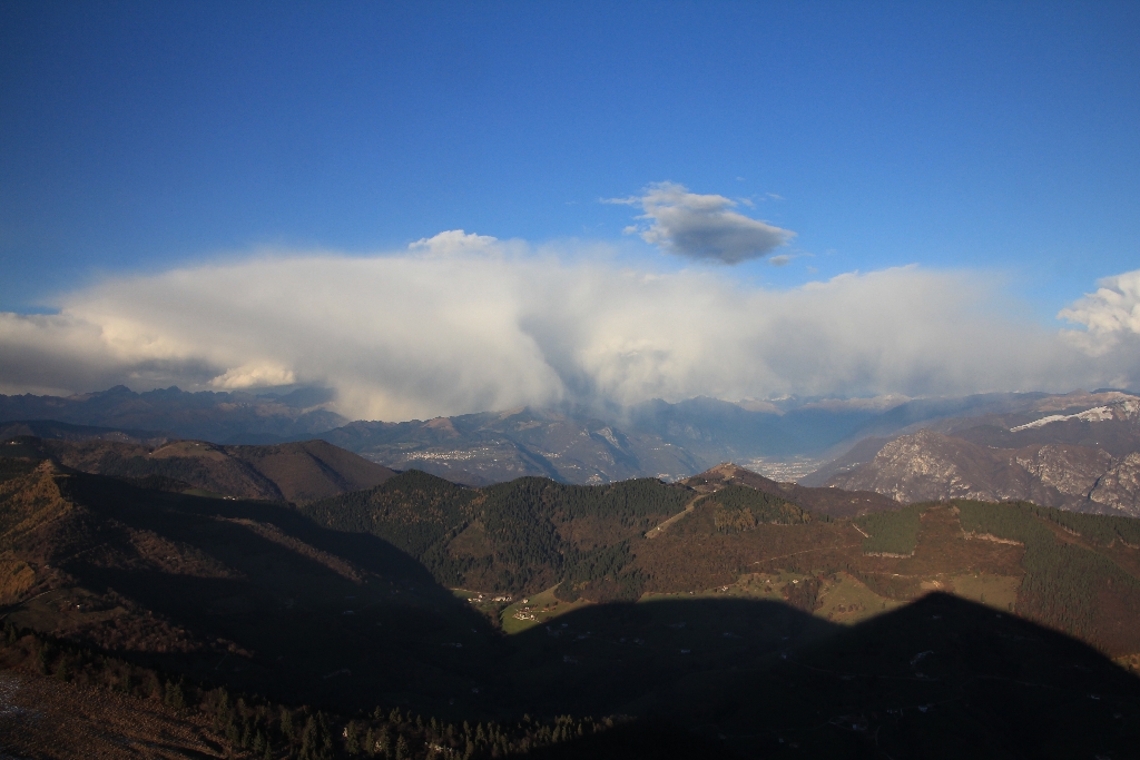 IMG_6772.jpg