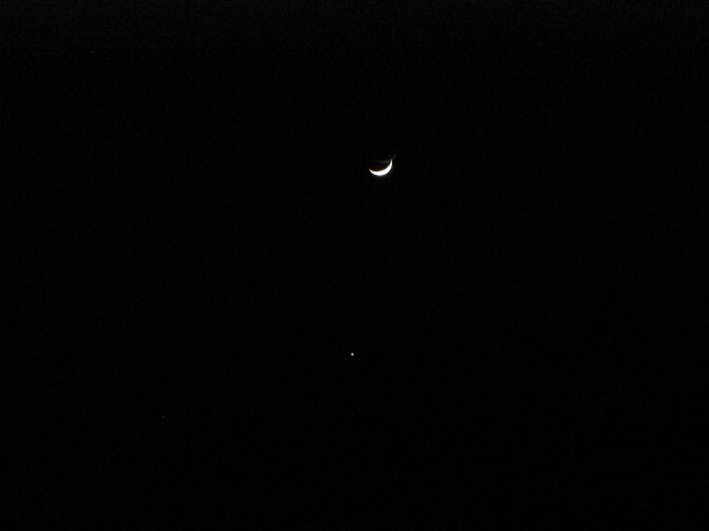 luna.jpg