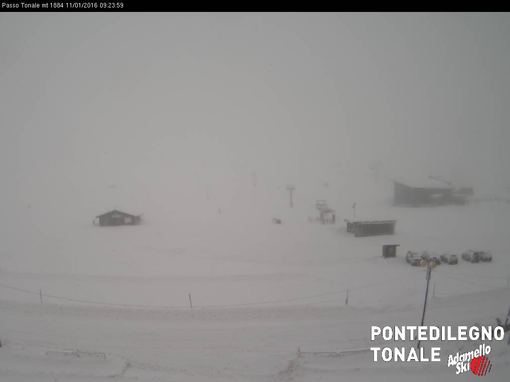 tonale.jpg