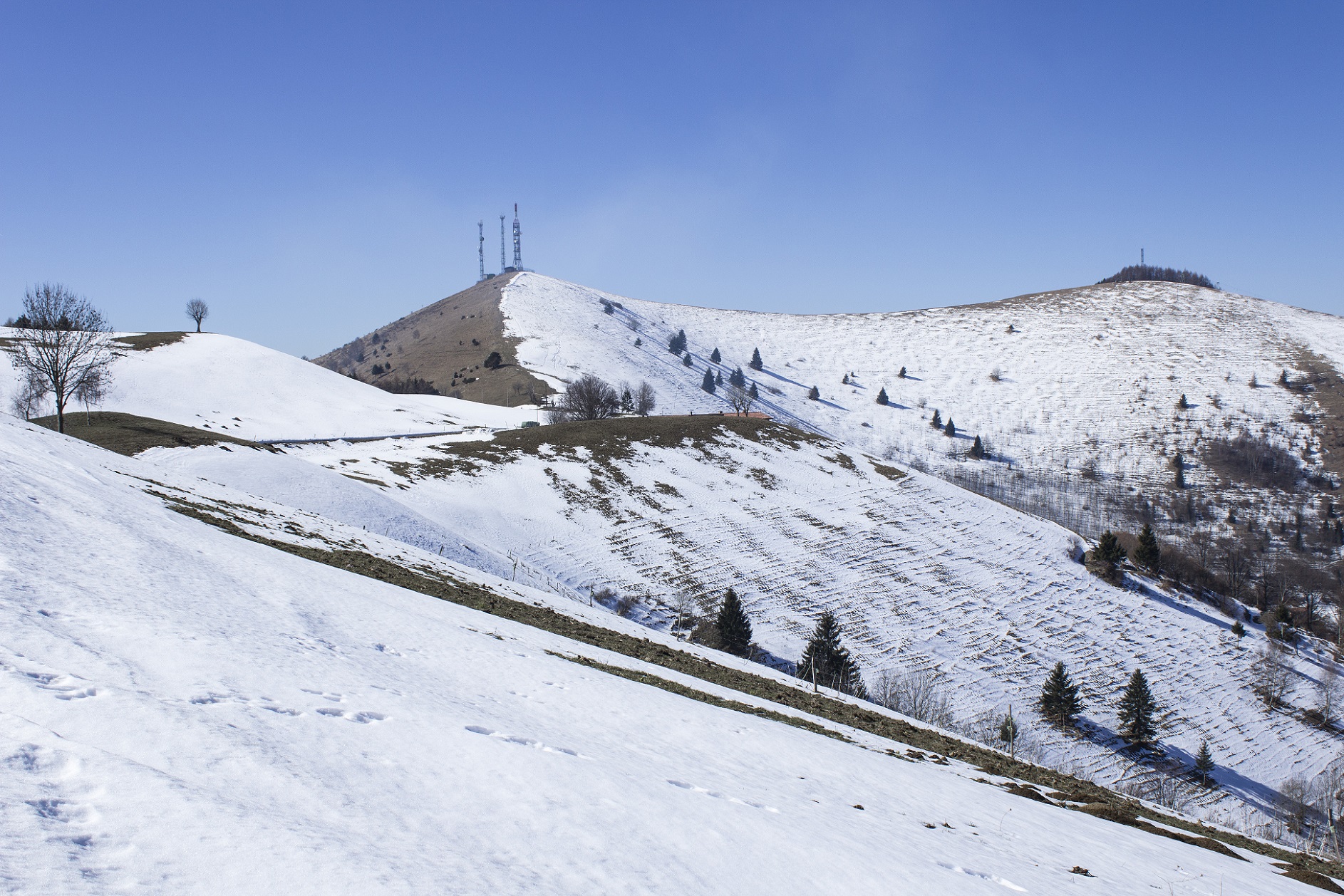 Se la cartina è giusta, versante e cima del monte Foppa, 1265m