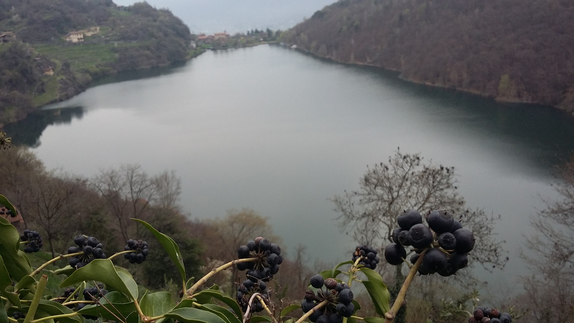 20160402_073751.jpg