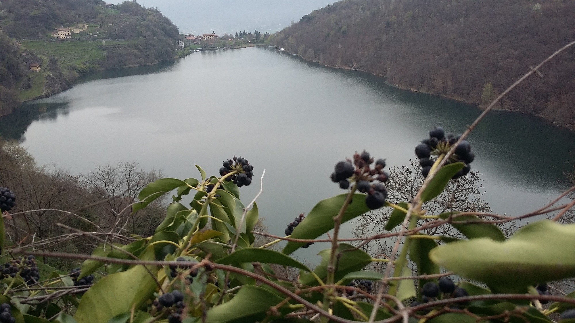20160402_073822.jpg