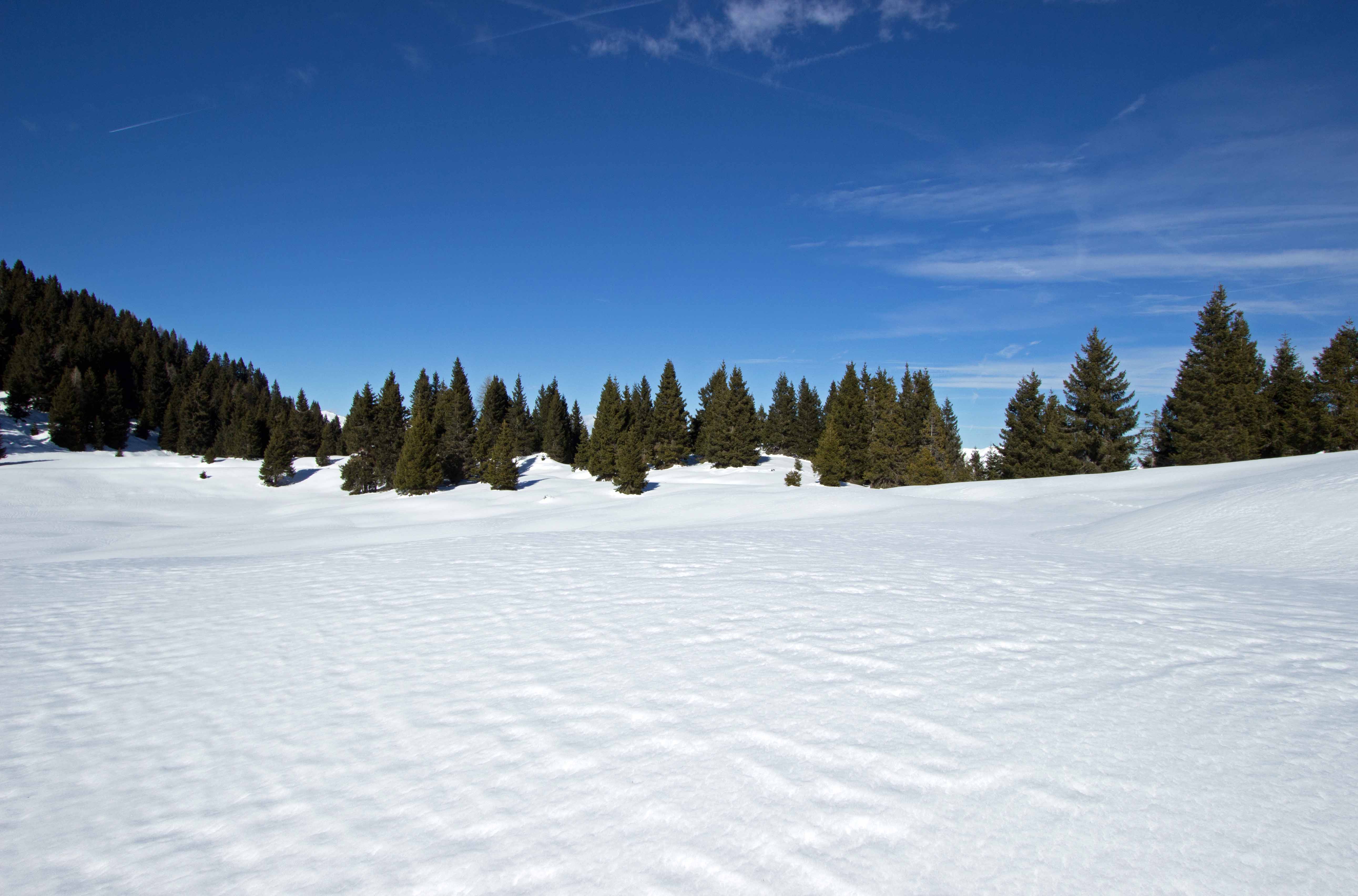 I 15 Paesaggio.jpg