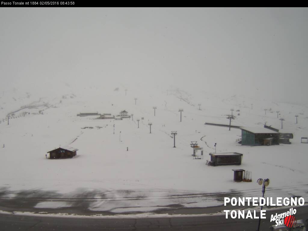 tonale.jpg