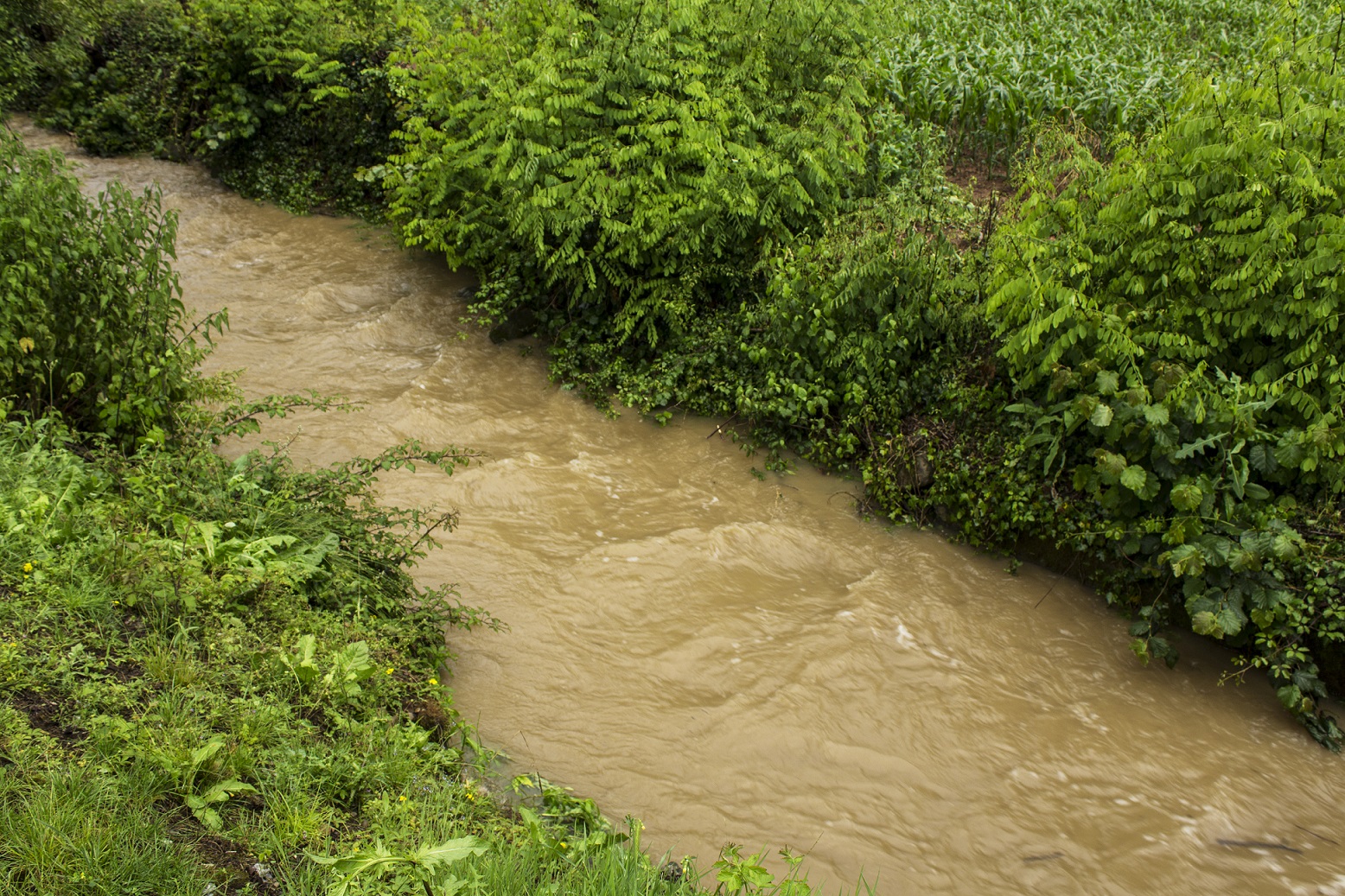 Rio Miola ingrossato, confine naturale tra Adro e Capriolo