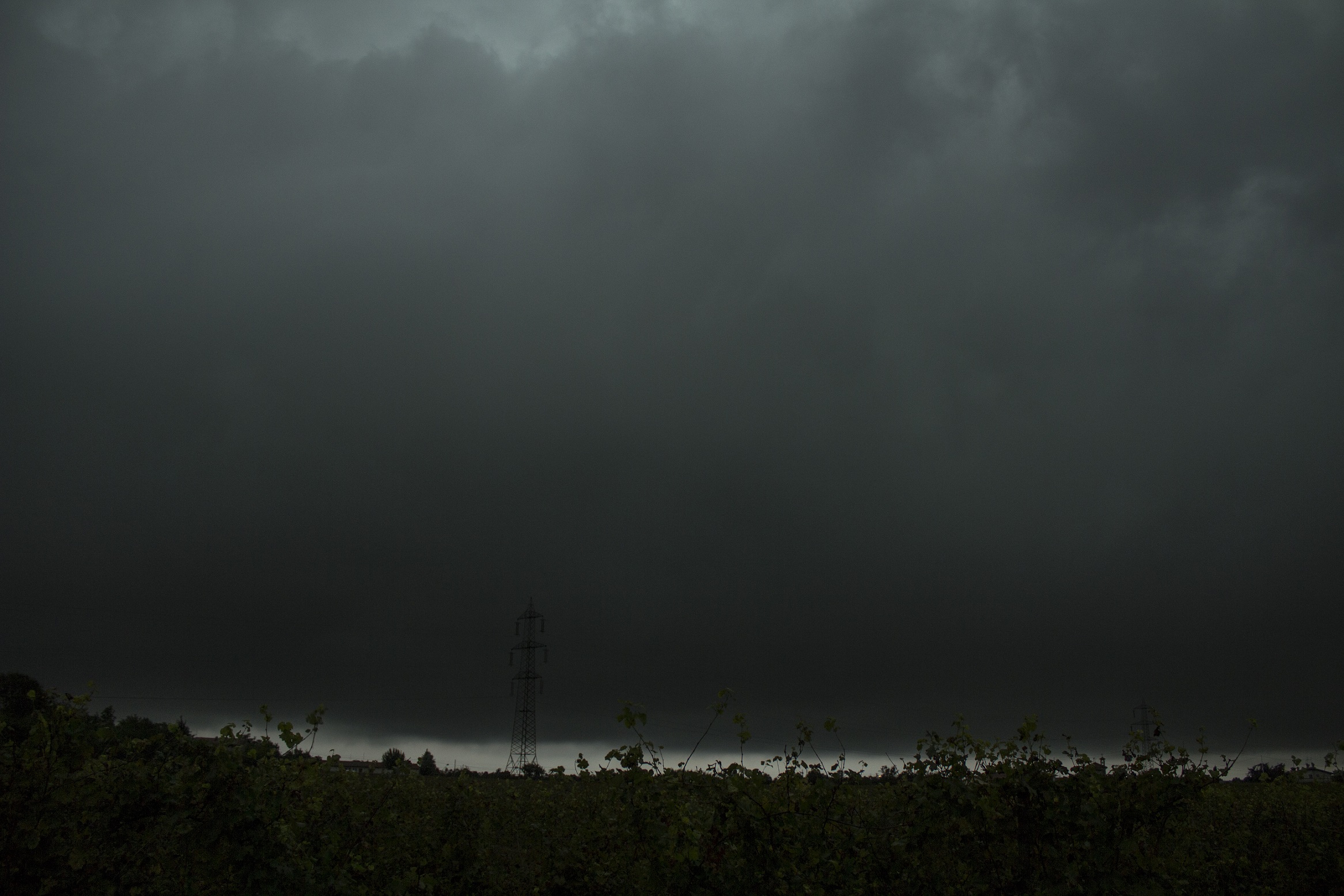 _MG_9764.jpg