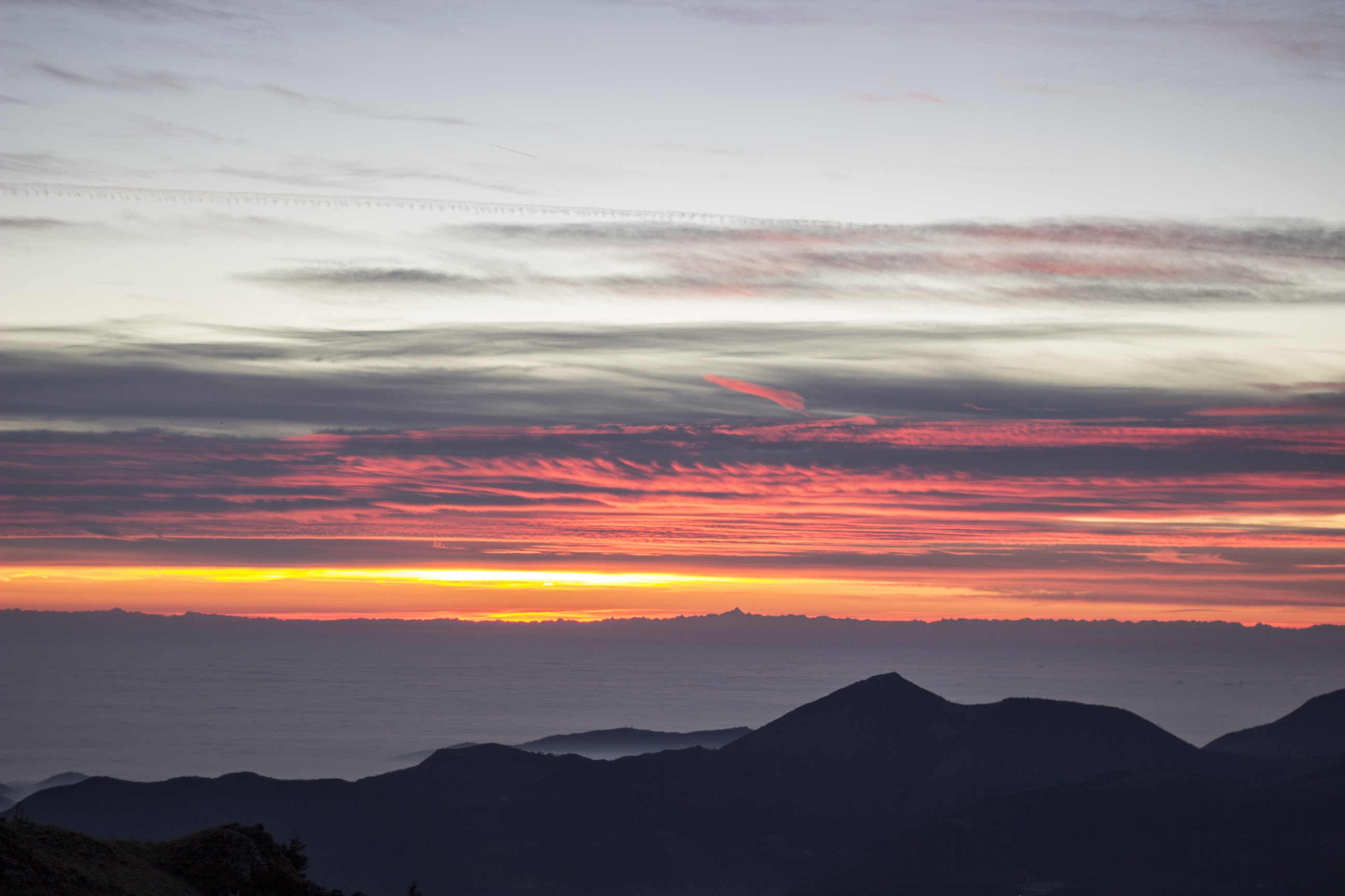 _MG_6465.jpg