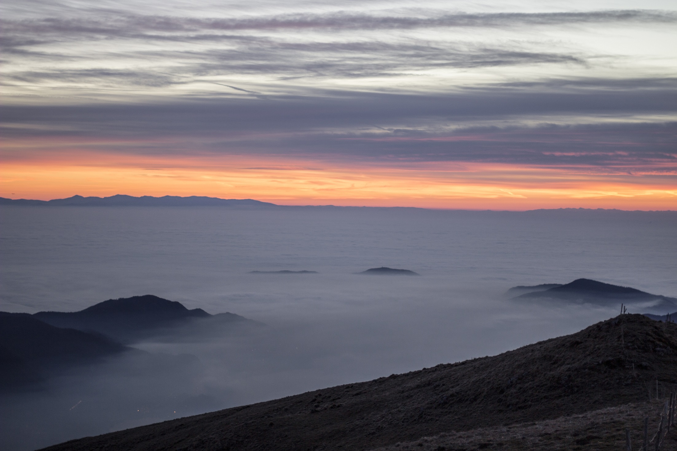 _MG_6454.jpg
