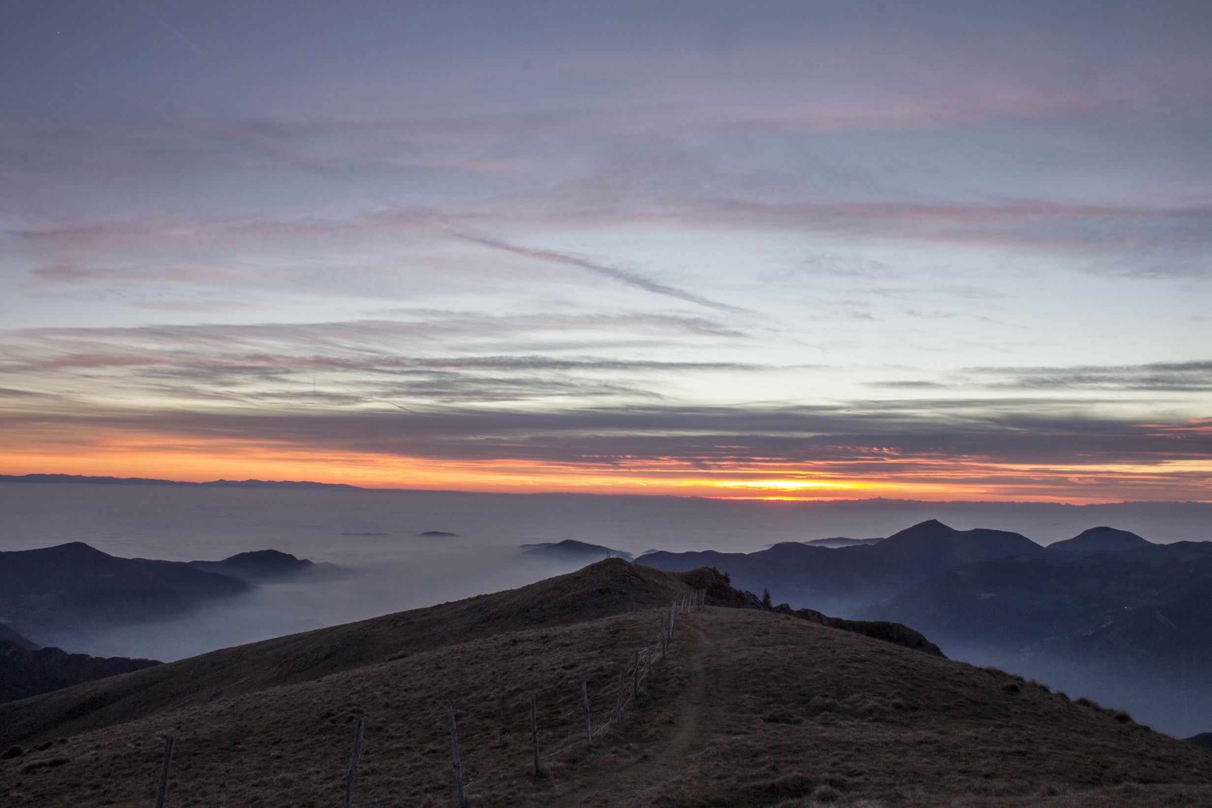_MG_6446.jpg
