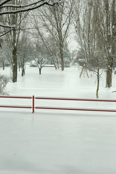 Image00001.jpg