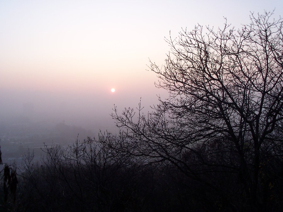 &amp;quot;Sopra&amp;quot; la Nebbia