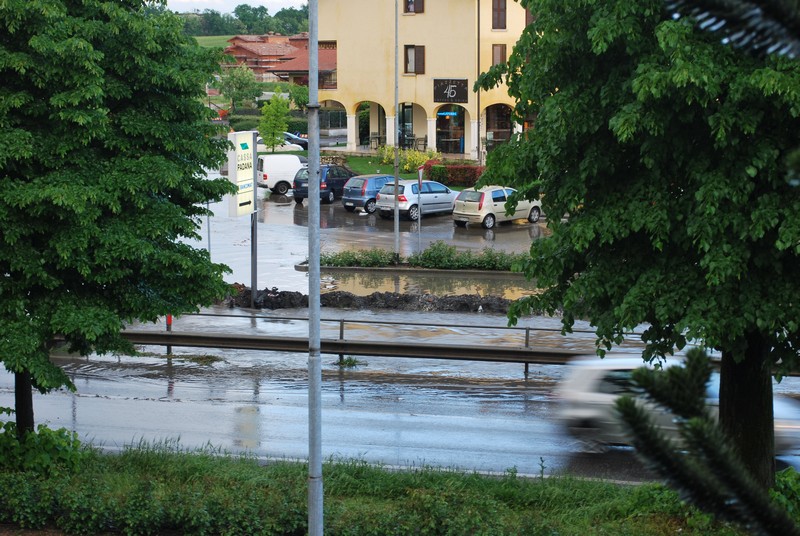 DSC_0015.jpg