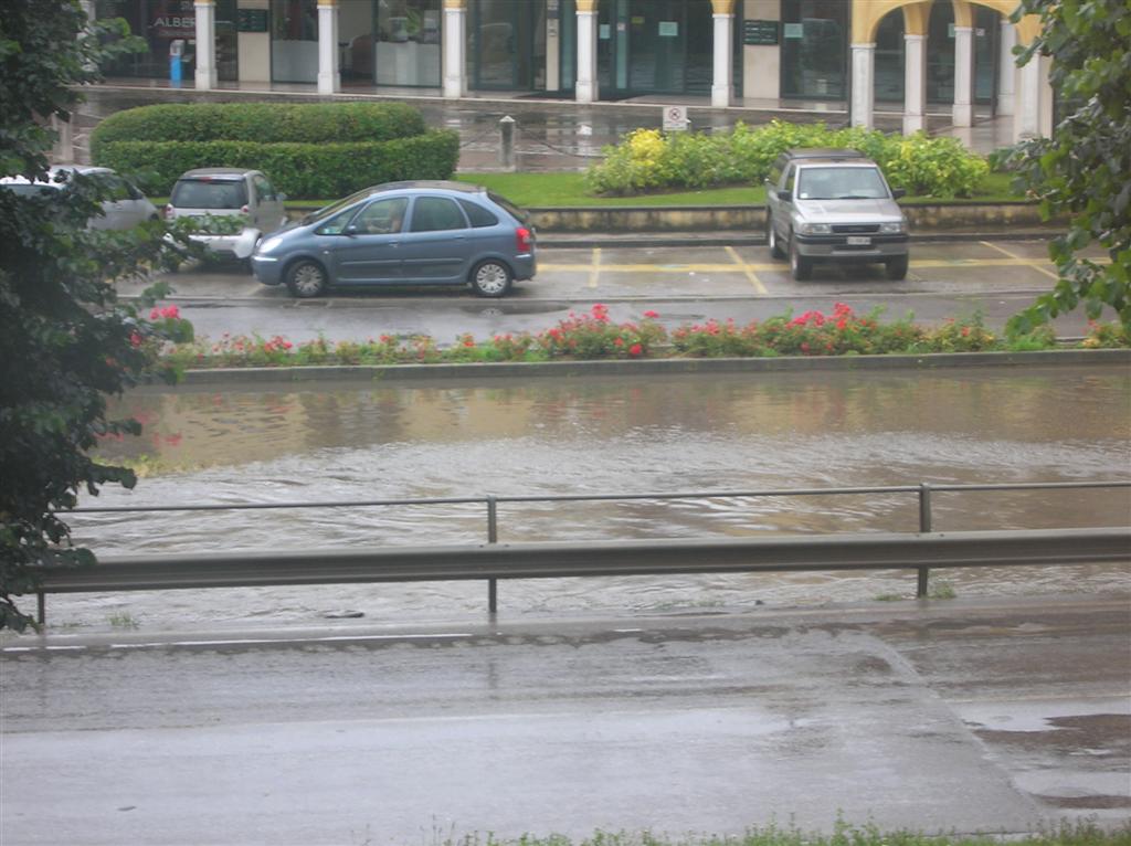 DSCN3634 (Large).JPG