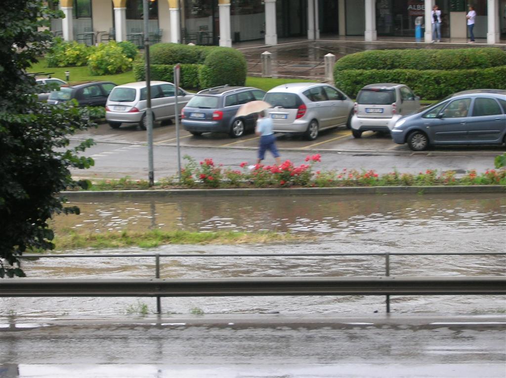 DSCN3615 (Large).JPG