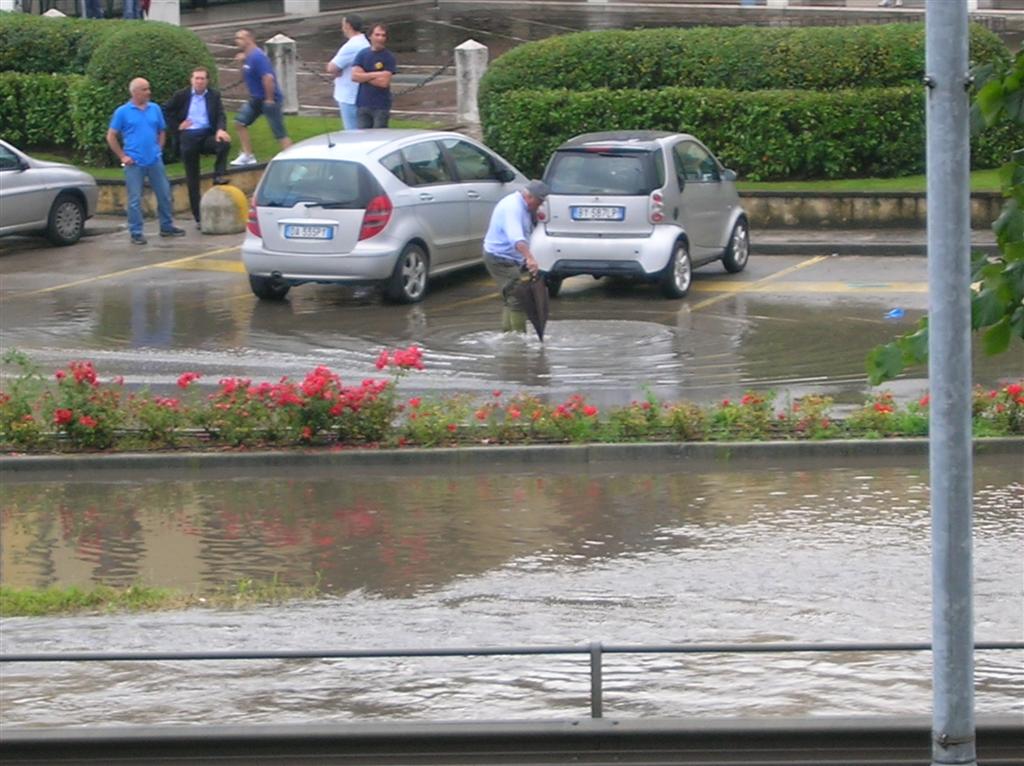 DSCN3647 (Large).JPG