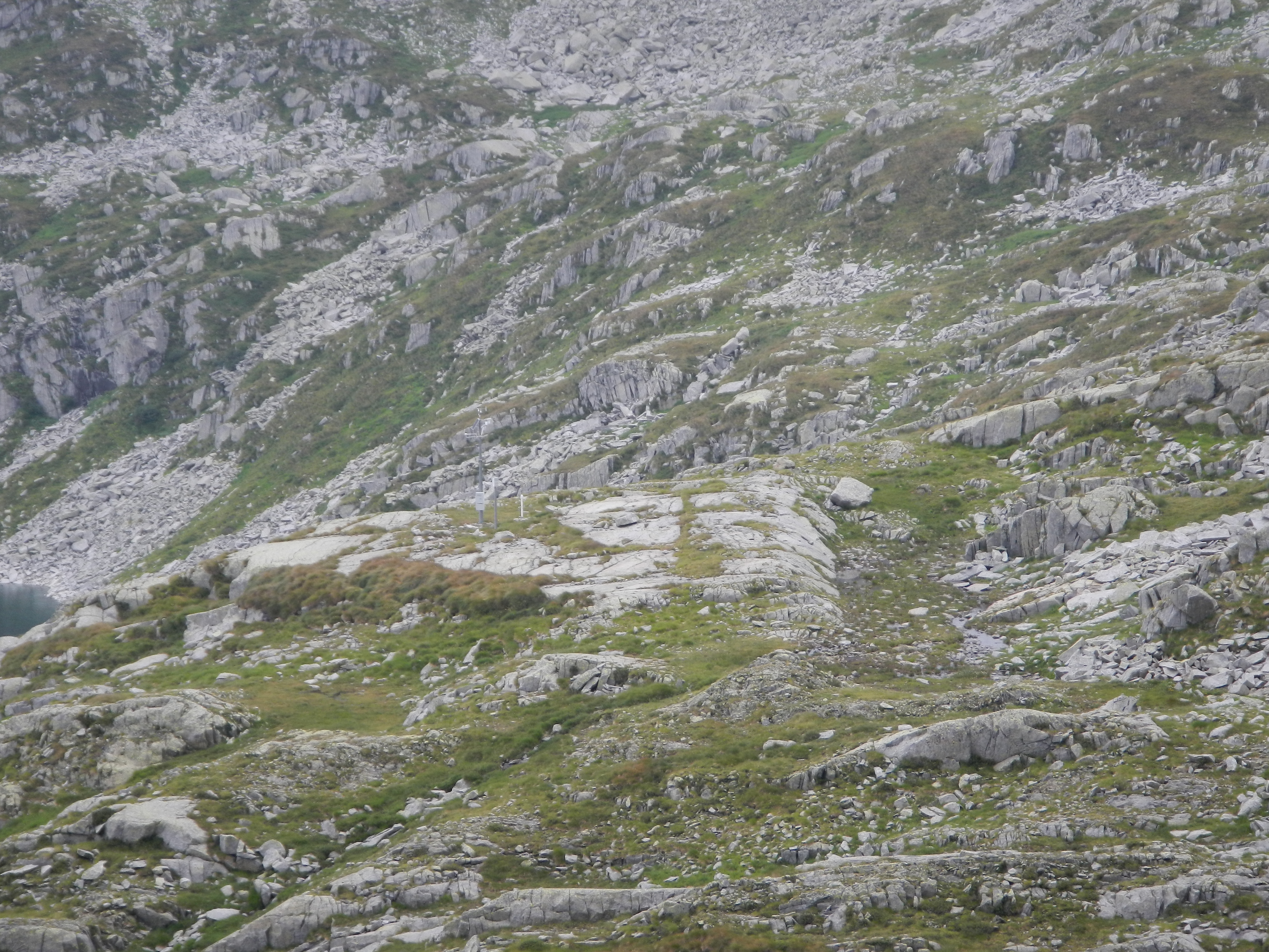 DSCN3618.JPG